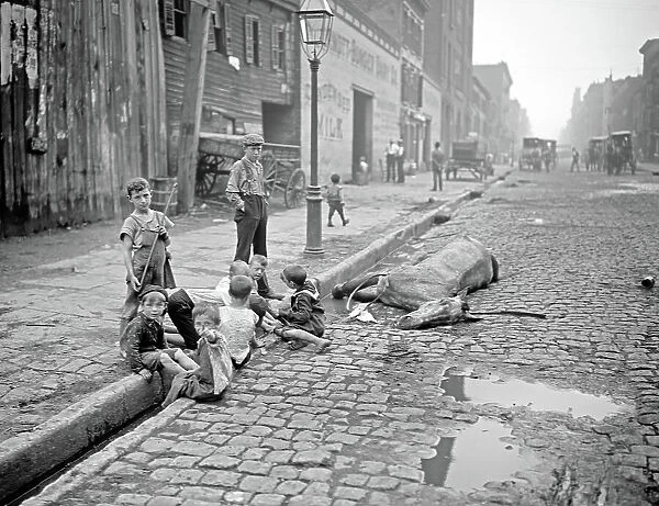 Children with a dead horse in the street in New York City, U