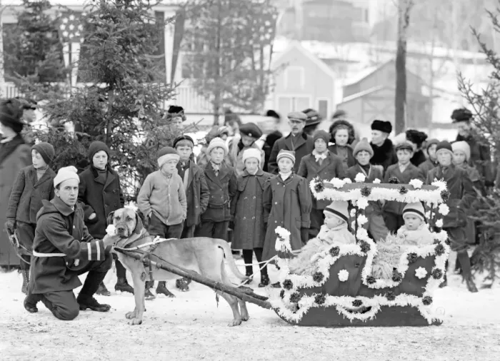 Framed Print : Children in a dog sled at Midwinter carnival childrens para Framed Print : Children in a dog sled at Midwinter carnival childrens para