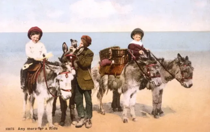 Framed Print : Children / Donkey Rides Framed Print : Children / Donkey Rides