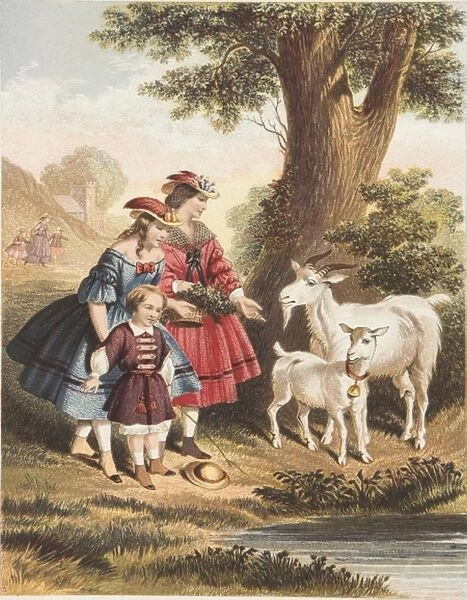 Children and goats