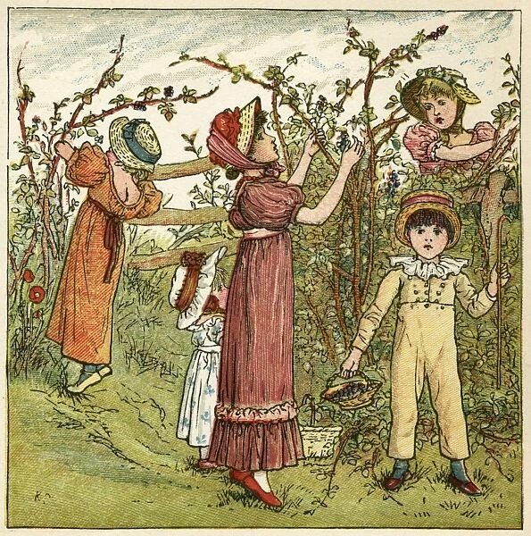 Five children picking blackberries