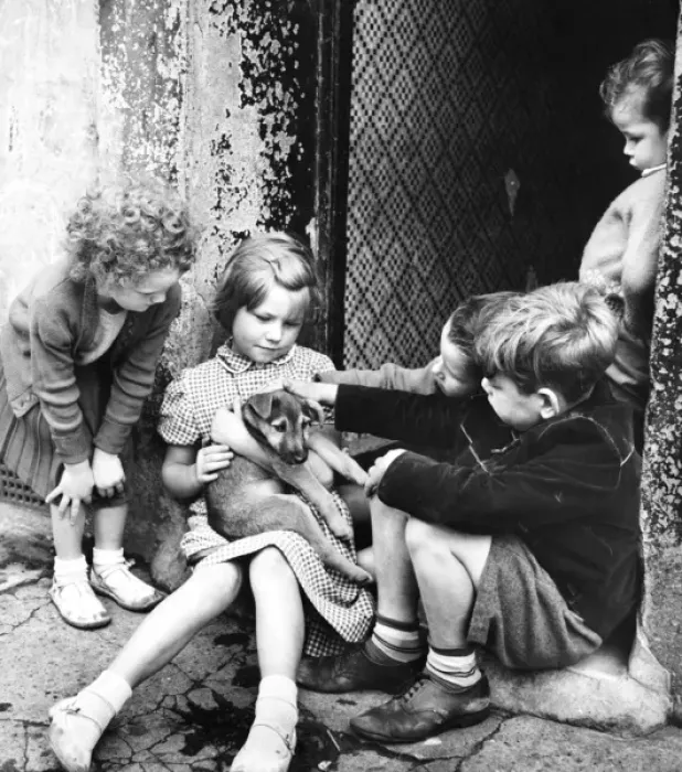 Framed Print : Children with puppy, Balham, SW London Framed Print : Children with puppy, Balham, SW London