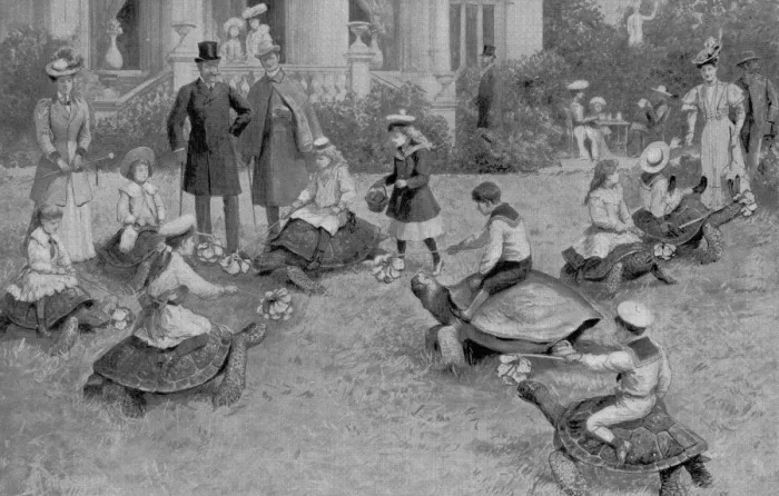 Framed Print : Children Racing Turtles at Hamburg Zoo, 1908
