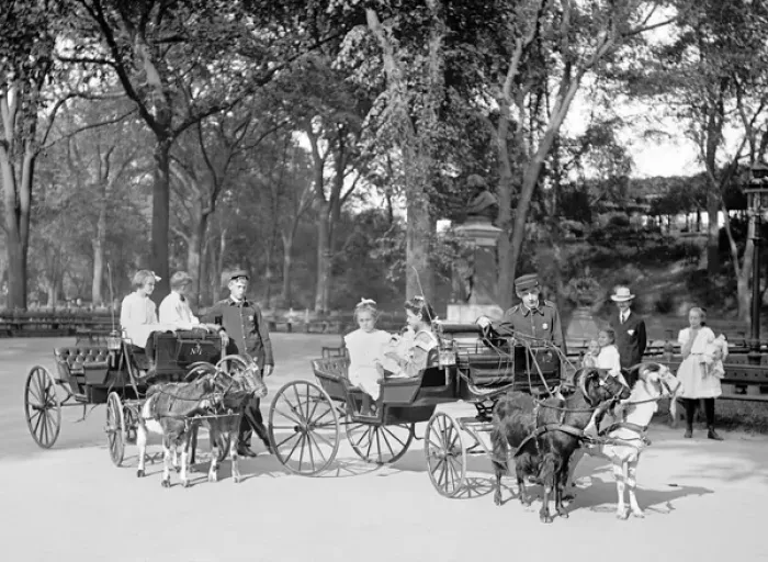 Framed Print : Children riding in Goat carriages in Central Park, New York Framed Print : Children riding in Goat carriages in Central Park, New York