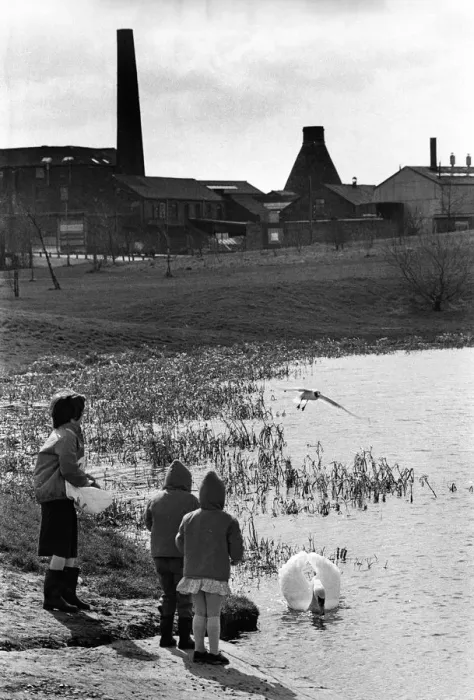 Framed Print : Children and swans Stoke Framed Print : Children and swans Stoke