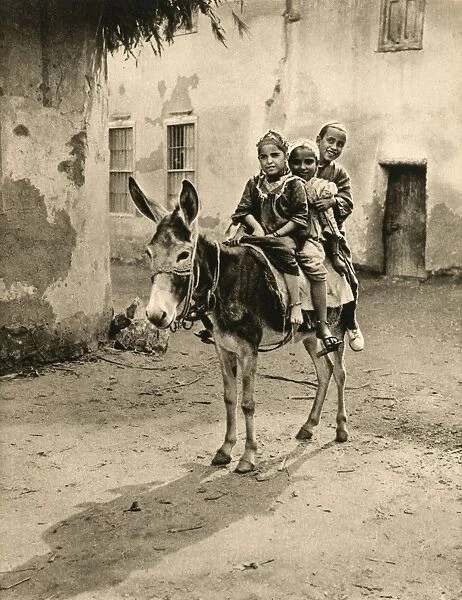 Children at the village of Marg near Cairo riding a donkey