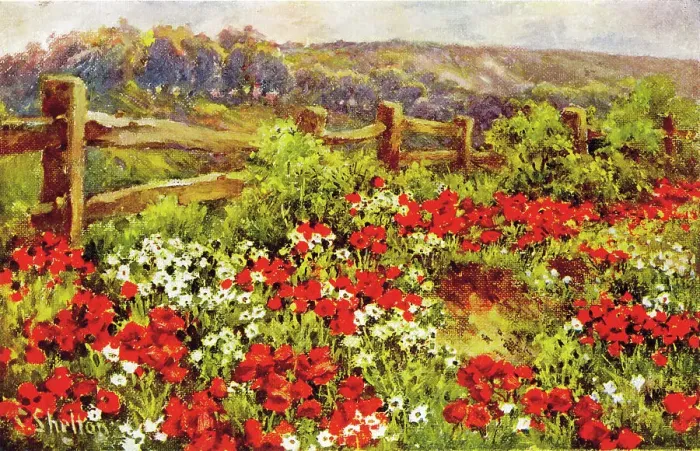 Framed Print : A Chiltern Poppyfield