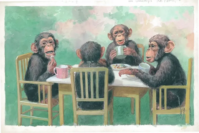 Framed Print : The Chimps Tea Party at London Zoo Framed Print : The Chimps Tea Party at London Zoo