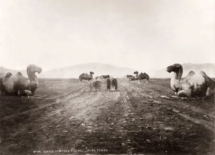 Framed Print : China c. 1880s - stone animals on the avenue to the Ming Tombs Framed Print : China c. 1880s - stone animals on the avenue to the Ming Tombs