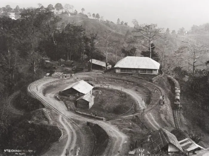 Framed Print : Chinbatti loop, tracks on Darjeeling Railway, railroad, India Framed Print : Chinbatti loop, tracks on Darjeeling Railway, railroad, India