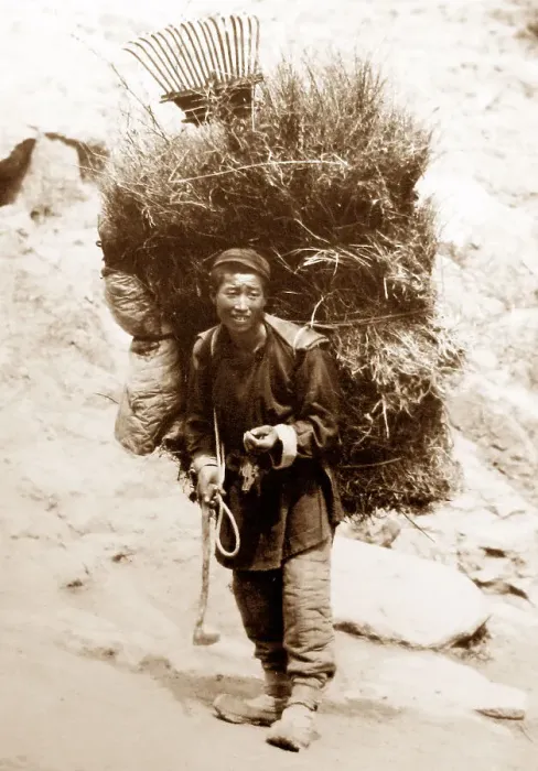 Framed Print : Chinese farmer Framed Print : Chinese farmer