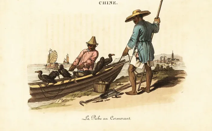 Framed Print : Chinese fishermen and their cormorants, 18th century Framed Print : Chinese fishermen and their cormorants, 18th century