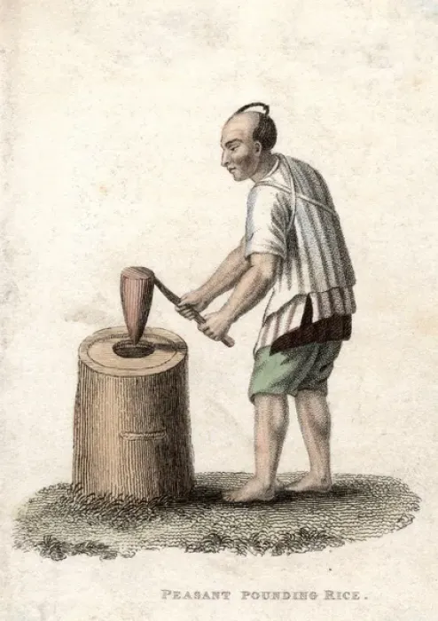 Framed Print : A Chinese peasant pounding rice Framed Print : A Chinese peasant pounding rice