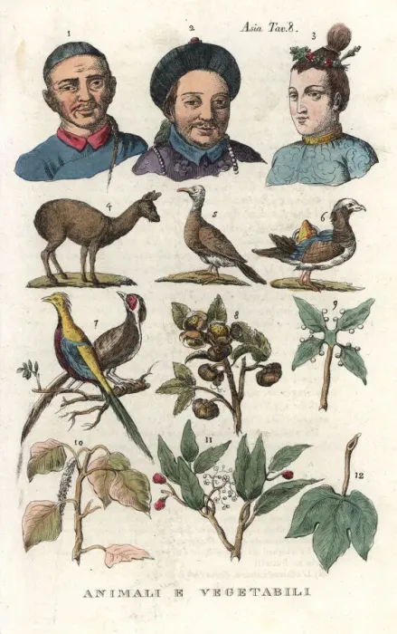 Framed Print : Chinese portraits, fauna and flora Framed Print : Chinese portraits, fauna and flora