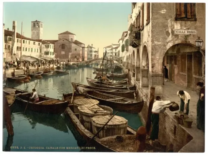Framed Print : Chioggia, fish market, Venice, Italy Framed Print : Chioggia, fish market, Venice, Italy