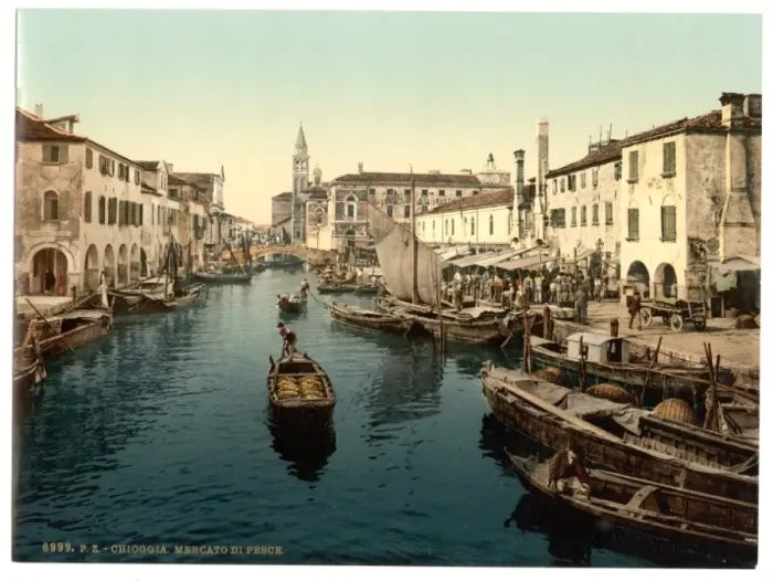 Framed Print : Chioggia, fish market, Venice, Italy Framed Print : Chioggia, fish market, Venice, Italy