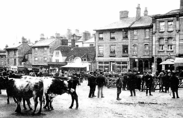Framed Print : Chippenham Market early 1900s Framed Print : Chippenham Market early 1900s