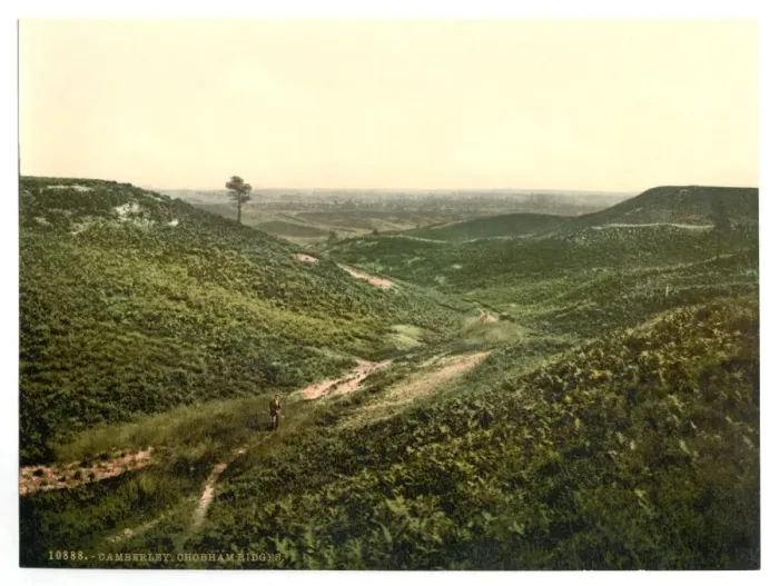 Framed Print : Chobham Ridges, Camberley, England Framed Print : Chobham Ridges, Camberley, England