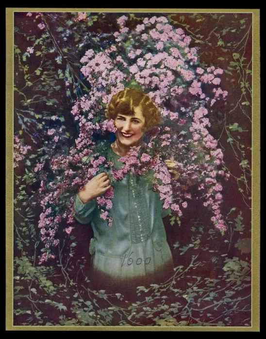 Framed Print : Chocolate box design, woman with pink flowers Framed Print : Chocolate box design, woman with pink flowers