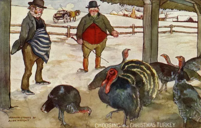 Framed Print : Choosing the Christmas turkey Framed Print : Choosing the Christmas turkey