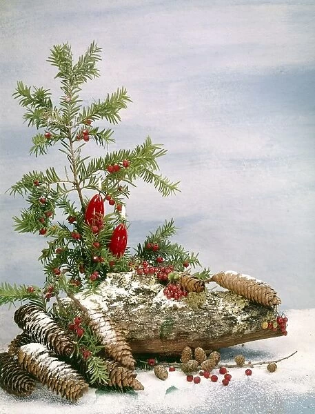 Christmas arrangement of candles, fir branches and cones