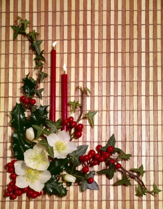 Framed Print : Christmas arrangement of candles, flowers and holly Framed Print : Christmas arrangement of candles, flowers and holly