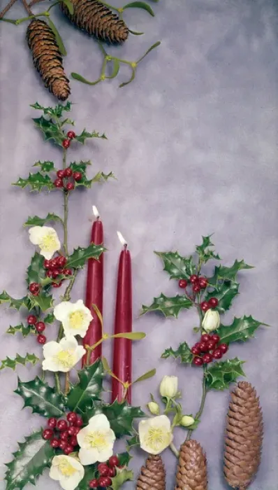Framed Print : Christmas arrangement of candles, flowers and holly Framed Print : Christmas arrangement of candles, flowers and holly