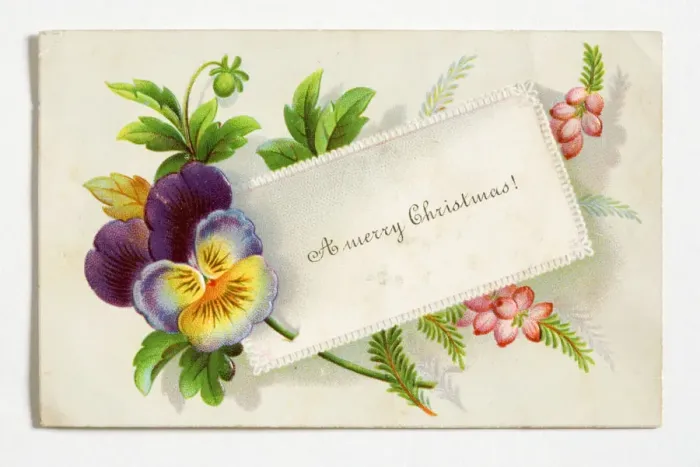 Framed Print : Christmas card Framed Print : Christmas card