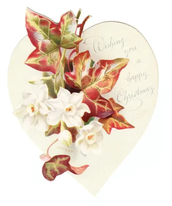 Framed Print : Christmas card with autumn leaves and white flowers Framed Print : Christmas card with autumn leaves and white flowers