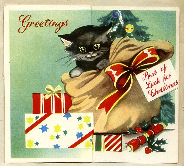 Christmas card, Black kitten in a sack