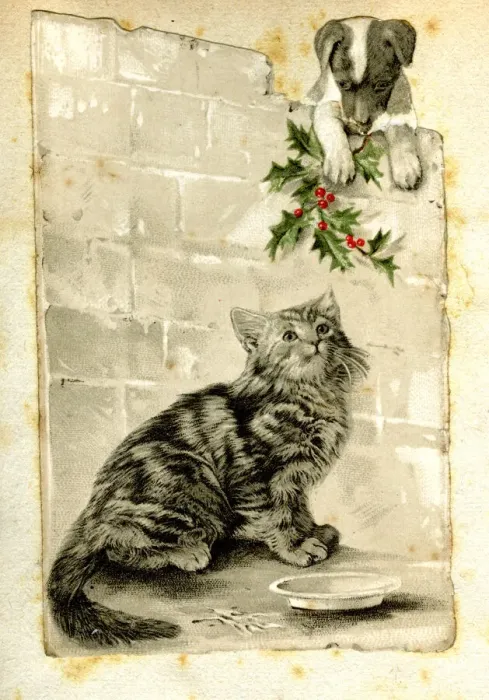Framed Print : Christmas card, cat and puppy with holly Framed Print : Christmas card, cat and puppy with holly