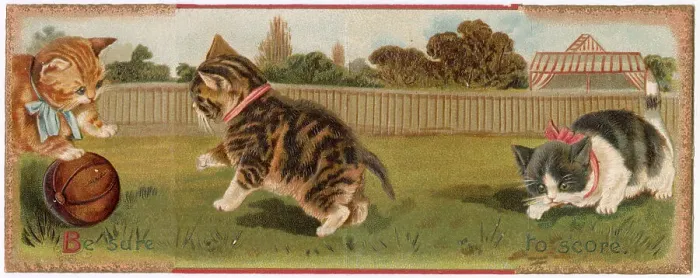Framed Print : Christmas card, Three cats playing football - Be sure to score. Date: circa 1900s Framed Print : Christmas card, Three cats playing football - Be sure to score. Date: circa 1900s