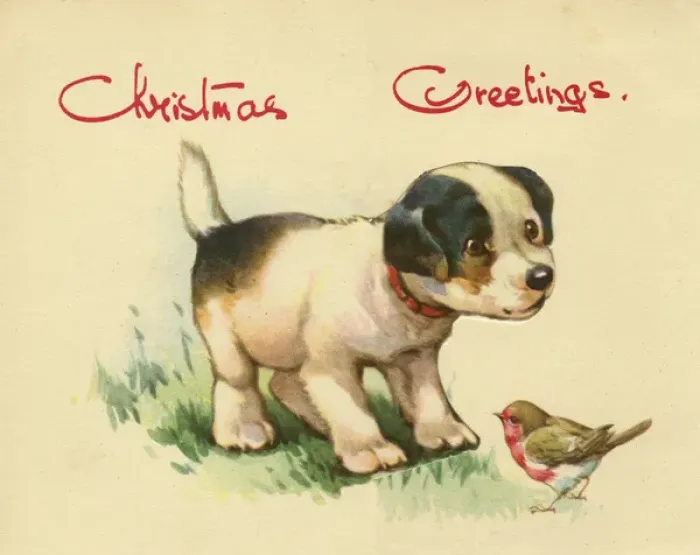 Framed Print : Christmas card, dog and robin Framed Print : Christmas card, dog and robin