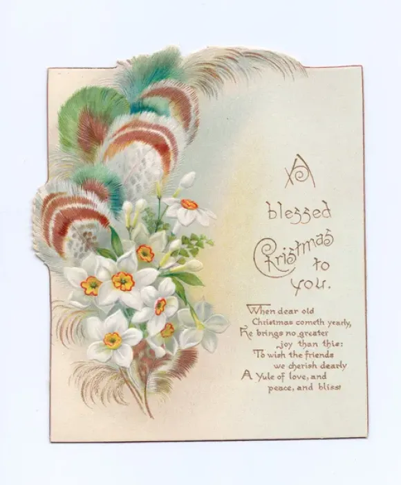 Framed Print : Christmas card with flowers and feathers Framed Print : Christmas card with flowers and feathers