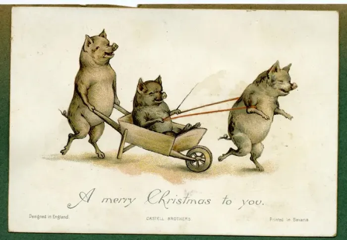 Framed Print : Christmas card, three pigs with a wheelbarrow Framed Print : Christmas card, three pigs with a wheelbarrow
