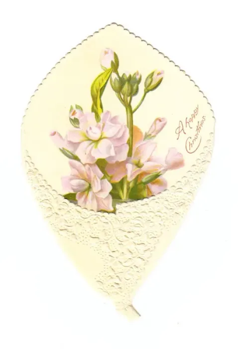 Framed Print : Christmas card with pink flowers Framed Print : Christmas card with pink flowers