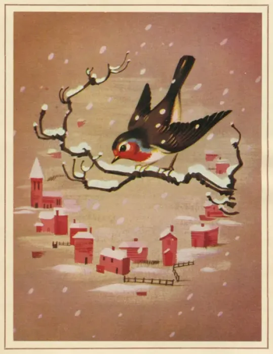 Framed Print : Christmas card, Robin on a branch Framed Print : Christmas card, Robin on a branch