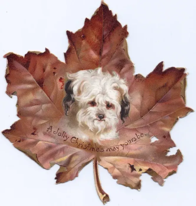 Framed Print : Christmas card in the shape of an autumn leaf Framed Print : Christmas card in the shape of an autumn leaf