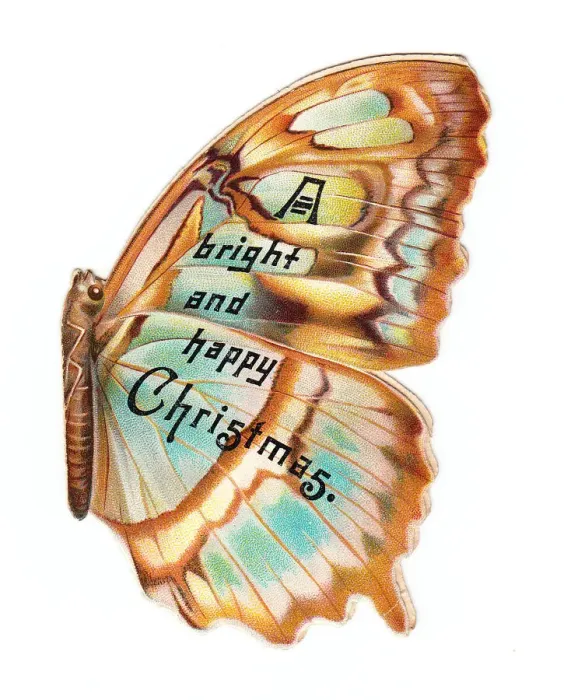Framed Print : Christmas card in the shape of a butterfly Framed Print : Christmas card in the shape of a butterfly