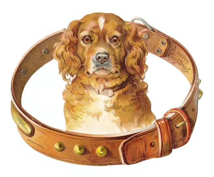 Framed Print : Christmas card in the shape of a dogs collar Framed Print : Christmas card in the shape of a dogs collar