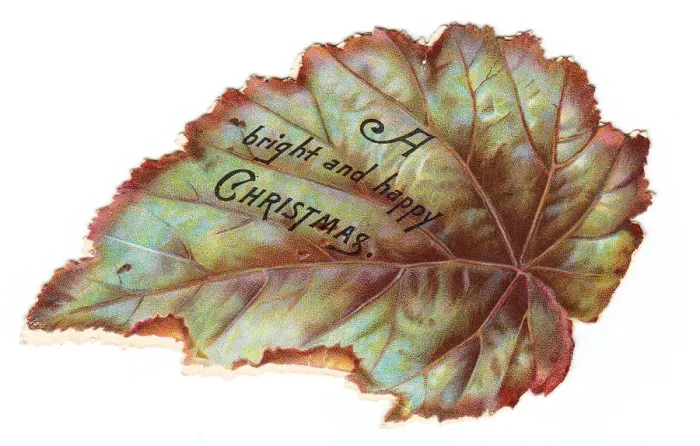 Framed Print : Christmas card in the shape of a leaf Framed Print : Christmas card in the shape of a leaf