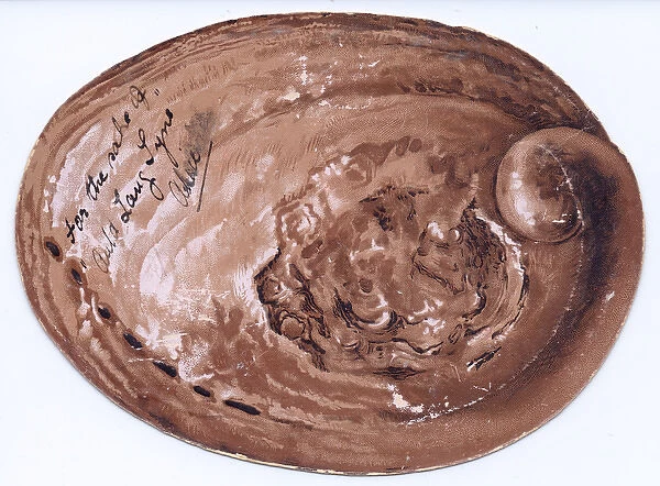 Christmas card in the shape of an oval shell