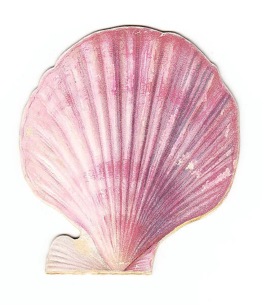 Christmas card in the shape of a pink shell