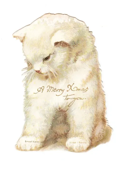 Framed Print : Christmas card in the shape of a white kitten Framed Print : Christmas card in the shape of a white kitten