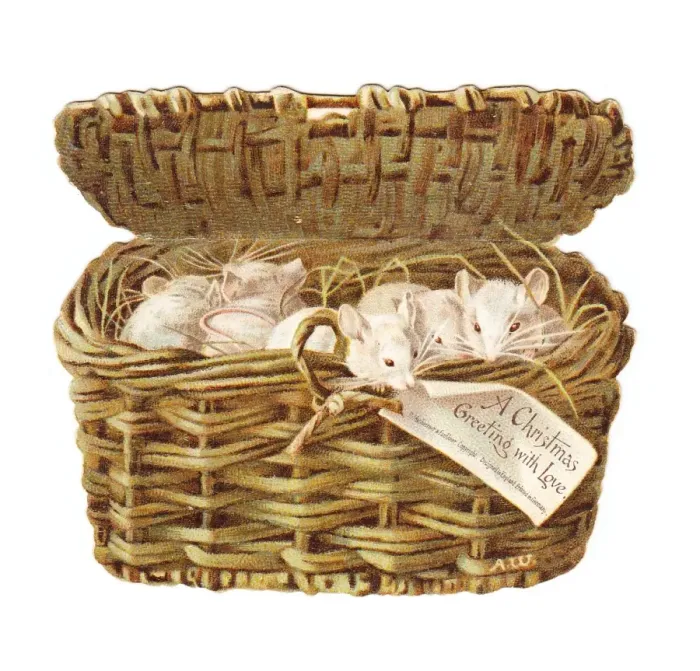 Framed Print : Christmas card in the shape of a wickerwork basket Framed Print : Christmas card in the shape of a wickerwork basket
