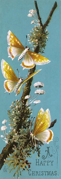 Christmas Greeting card featuring garden moths