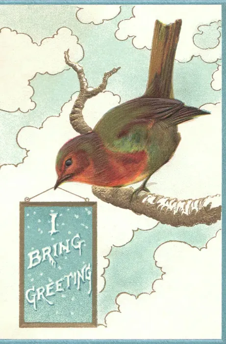 Framed Print : Christmas Robin Framed Print : Christmas Robin
