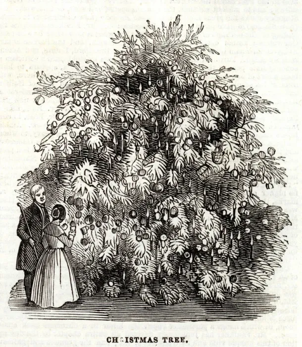 Framed Print : Christmas tree at the Temperance Hall 1845 Framed Print : Christmas tree at the Temperance Hall 1845