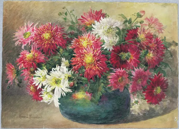 Framed Print : Chrysanthemums Framed Print : Chrysanthemums
