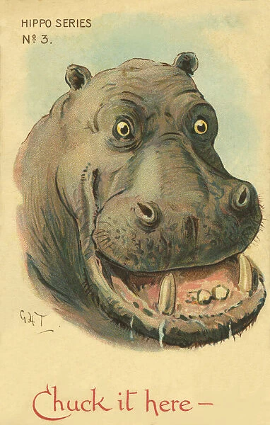 Hippo. Chuck it here Illustrated comic postcard of a hippo with open mouth